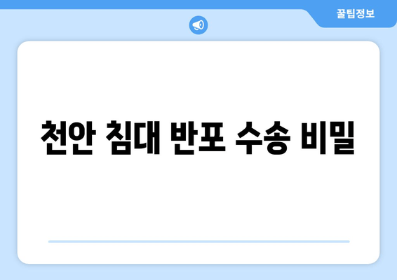 천안 침대 반포 수송 비밀