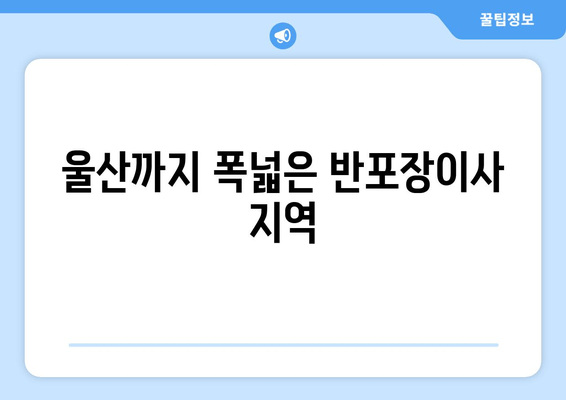 울산까지 폭넓은 반포장이사 지역