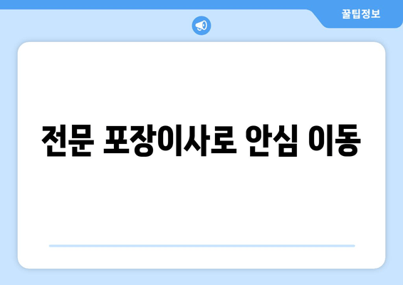 전문 포장이사로 안심 이동