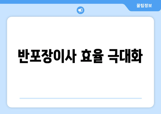 반포장이사 효율 극대화