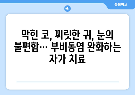 부비동염과 귀, 눈 통증| 집에서 해결하는 5가지 자가 치료법 | 부비동염, 귀 통증, 눈 통증, 자가 치료, 완화