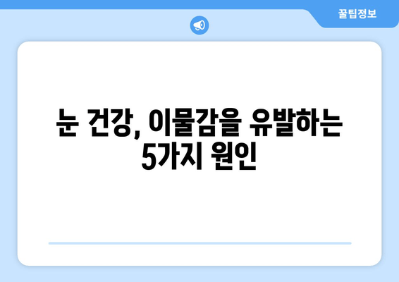 눈에 이물감을 유발하는 5가지 주요 원인 | 눈 건강, 안구 건조증, 먼지, 알레르기, 염증