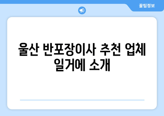 울산 반포장이사 추천 업체 일거에 소개