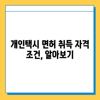 전라남도 장흥군 장동면 개인택시 면허 매매| 오늘 시세, 넘버값, 자격, 월수입, 양수교육 | 상세 정보