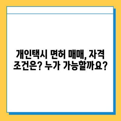 제주도 서귀포시 성산읍 개인택시 면허 매매| 오늘 시세, 넘버값, 자격조건, 월수입, 양수교육 | 상세 가이드