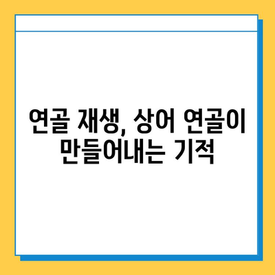 상어 연골, 관절 건강 회복의 새로운 지평 | 관절 통증 완화, 연골 재생, 효능 및 주의사항