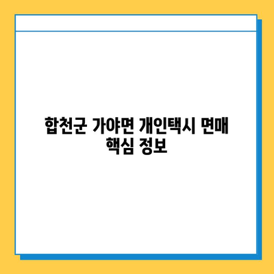 합천군 가야면 개인택시 면허 매매 가격 & 상세 정보 | 오늘 시세, 넘버값, 자격 조건, 월수입, 양수 교육