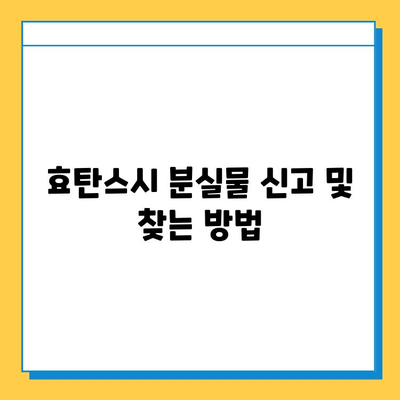 효탄스시에서 잃어버린 물건 찾기| 상세 가이드 | 분실물, 연락처, 찾는 방법