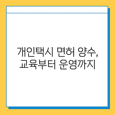 합천군 가야면 개인택시 면허 매매 가격 & 상세 정보 | 오늘 시세, 넘버값, 자격 조건, 월수입, 양수 교육