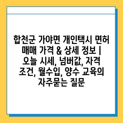 합천군 가야면 개인택시 면허 매매 가격 & 상세 정보 | 오늘 시세, 넘버값, 자격 조건, 월수입, 양수 교육