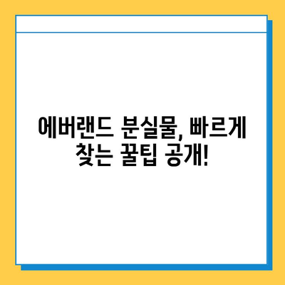 에버랜드 분실물 센터| 축제 기간 동안 소중한 물건 찾는 방법 | 분실물, 축제, 안내, 팁