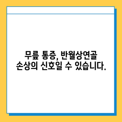 무릎 반월상연골 손상, 연골 임플란트로 회복 가능할까요? | 반월상연골, 무릎 통증, 수술, 재활, 치료