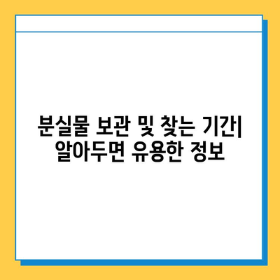 베이징 공항 분실물 찾기 완벽 가이드 | 분실물센터 위치, 연락처, 절차, 팁