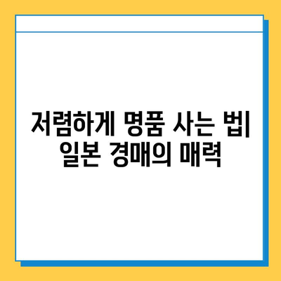 일본 분실물 시장에서 명품 득템하기| 꿀팁 대방출 | 명품 저렴하게 사는 법, 일본 경매, 득템 정보