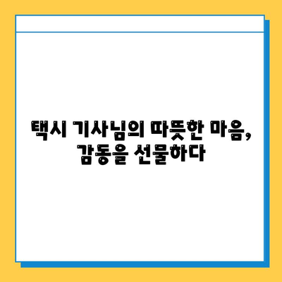 택시에서 잃어버린 소중한 물건, 찾았을 때의 기쁨! | 분실물, 택시, 감동 이야기