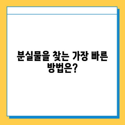 나미하노유 온천 & 멘야 카네토라 분실물 찾기| 상세 가이드 | 분실물 신고, 찾는 방법, 주의사항