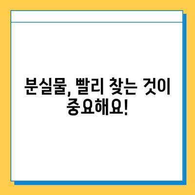 분실물 찾기 성공 비결| 소유권 확인 및 효과적인 방법 | 분실물, 소유권 증명, 찾기 팁