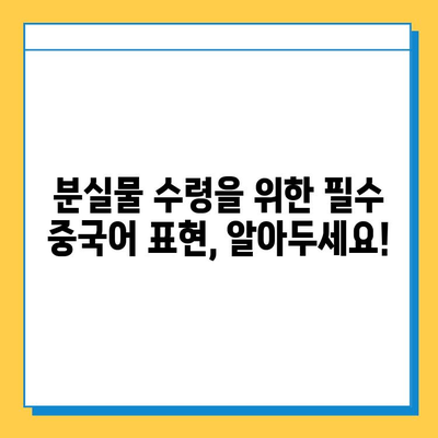 중국에서 분실물 찾았을 때? | 분실물 수령을 위한 중국어 안내문 & 필수 표현