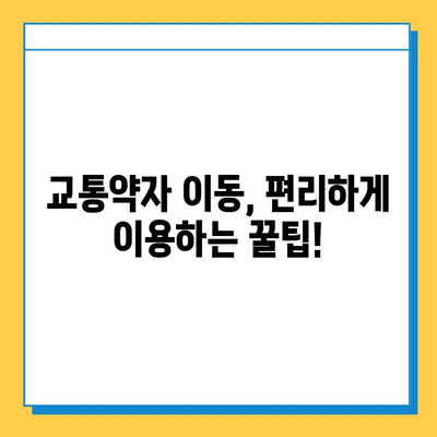 교통약자 이동 지원센터 이용 가이드| 분실물 찾기부터 힐링 라이드 정보까지 | 교통약자, 이동 지원, 휠체어, 힐링, 서울, 부산, 대구, 인천