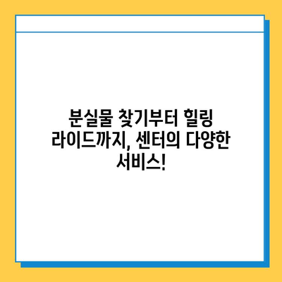 교통약자 이동 지원센터 이용 가이드| 분실물 찾기부터 힐링 라이드 정보까지 | 교통약자, 이동 지원, 휠체어, 힐링, 서울, 부산, 대구, 인천