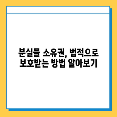 분실물 소유권 확인| 필수 지침 | 분실물, 소유권, 확인, 절차, 법률