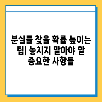 일본 전철 분실물 시장| 잃어버린 보물 찾기의 현실과 전략 | 분실물센터, 경매, 팁, 성공사례