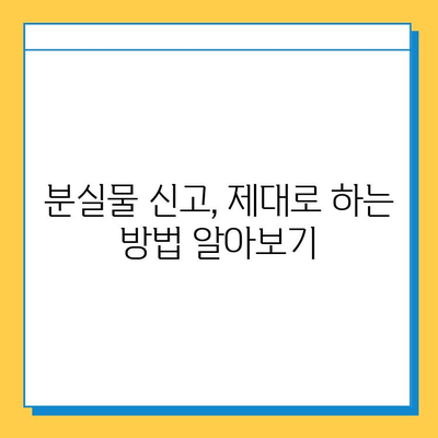 타이베이공항 분실물센터| 아기 옷 찾기 성공 가이드 | 분실물 신고, 찾는 방법, 주의 사항