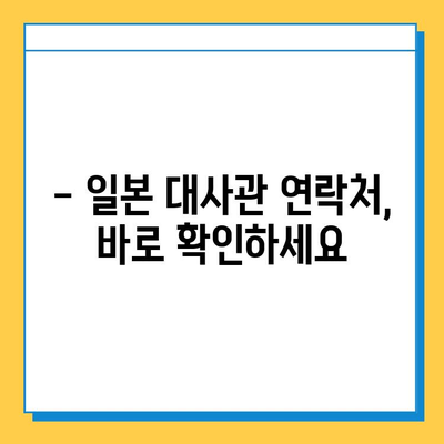 일본 여행 중 여권 분실? 당황하지 말고 지금 바로 확인하세요! | 여권 재발급, 비상 연락처, 주의사항