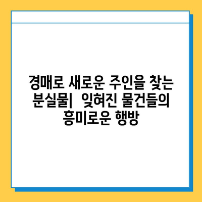 일본 전철 분실물 시장 탐방| 잃어버린 물건들의 놀라운 이야기 | 분실물, 경매, 문화, 일본 여행