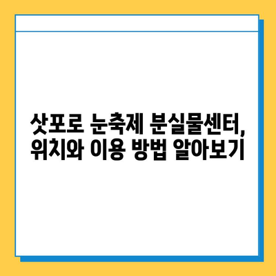 삿포로 눈축제 기간, 분실물 찾기 성공률 높이는 꿀팁 | 분실물, 삿포로, 눈축제, 팁, 가이드