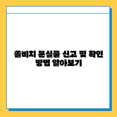 쏠비치 분실물 찾기| 유실물 보관 및 찾는 방법 완벽 가이드 | 쏠비치, 분실물센터, 유실물