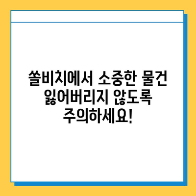 쏠비치 분실물 찾기| 유실물 보관 및 찾는 방법 완벽 가이드 | 쏠비치, 분실물센터, 유실물