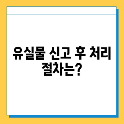 서울역 유실물 신고 & 처리 절차| 빠르고 정확하게 찾는 방법 | 유실물, 신고, 처리, 안내