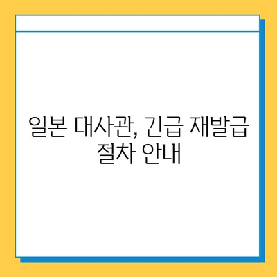 일본 여행 중 여권 분실? 당황하지 말고 긴급 재발급 받는 방법 | 여권 분실, 재발급 절차, 일본 대사관, 긴급 여권