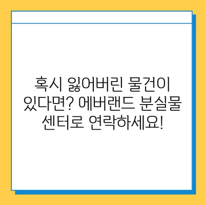 에버랜드 튤립축제 분실물 센터 안내| 위치, 연락처, 운영시간 | 에버랜드, 튤립축제, 분실물, 센터