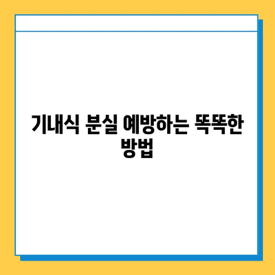 베이징공항 기내식 분실? 분실물 센터 찾는 방법 & 주의 사항 |  기내식, 분실물, 베이징공항