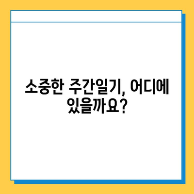 주간일기 분실물 찾기| 유실물 신고부터 센터 안내까지 | 분실물, 신고 방법, 주간일기, 센터 위치