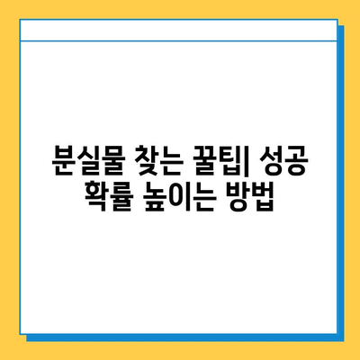 국립터미널 분실물 찾는 완벽 가이드| 단계별 안내 | 분실물센터, 연락처, 팁