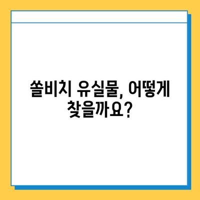 쏠비치에서 물건 잃어버렸나요? 유실물 찾는 방법 & 분실물 보관소 이용 가이드 | 쏠비치, 유실물, 분실물 보관소, 찾는 방법