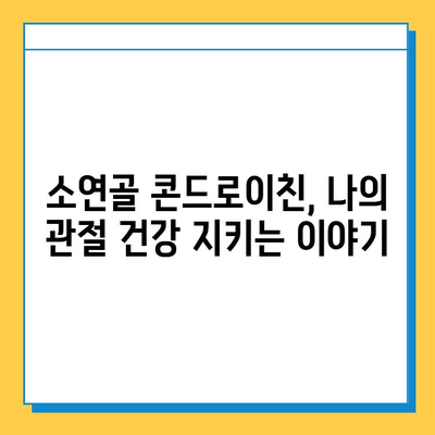 소연골 콘드로이친, 관절 건강 지키는 나의 경험| 솔직 후기 | 관절 건강, 연골 관리, 콘드로이친 효과