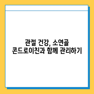 소연골 콘드로이친, 관절 건강 지키는 나의 경험| 솔직 후기 | 관절 건강, 연골 관리, 콘드로이친 효과