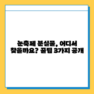 삿포로 눈축제에서 물건을 잃어버렸다면? | 분실물 찾는 꿀팁 3가지