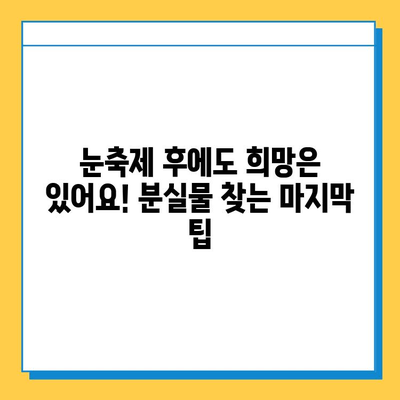 삿포로 눈축제에서 물건을 잃어버렸다면? | 분실물 찾는 꿀팁 3가지