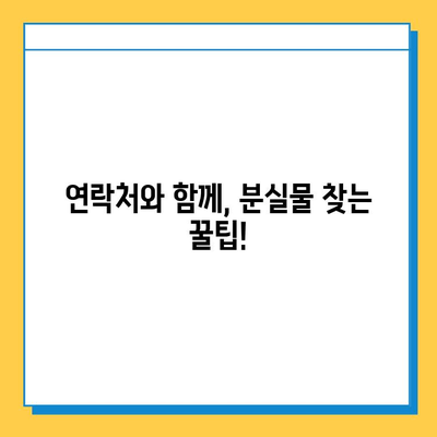 나미하노유 온천 가족탕 분실물 찾기| 빠르고 확실하게! | 분실물, 짐, 안내, 연락처