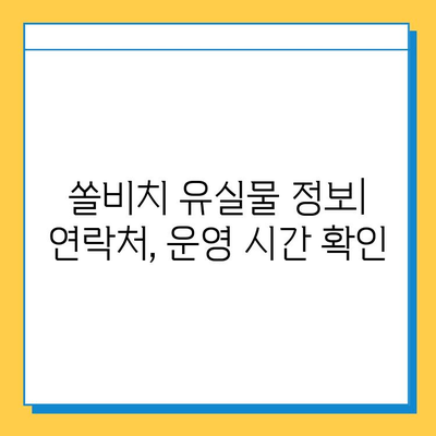 쏠비치에서 물건을 잃어버렸나요? 유실물 찾는 방법 총정리 | 쏠비치 분실물센터, 유실물 정보, 찾는 방법, 연락처