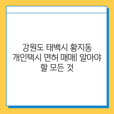 강원도 태백시 황지동 개인택시 면허 매매| 오늘 시세 & 넘버값 | 자격조건, 월수입, 양수교육