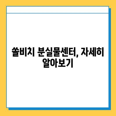 쏠비치에서 물건을 잃어버렸다면? | 분실물센터 이용 가이드 & 유실물 찾는 팁