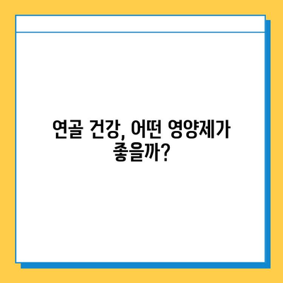 부모님 건강 선물, 관절연골영양제 추천 가이드 | 부모님 선물, 관절 건강, 연골 건강, 영양제 추천