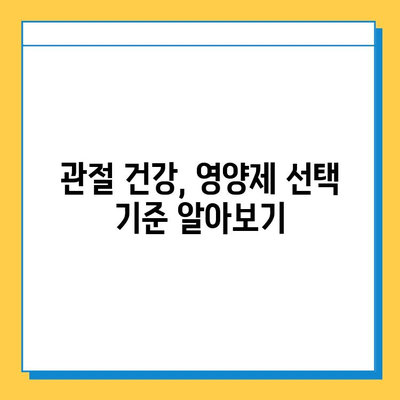 부모님 건강 선물, 관절연골영양제 추천 가이드 | 부모님 선물, 관절 건강, 연골 건강, 영양제 추천