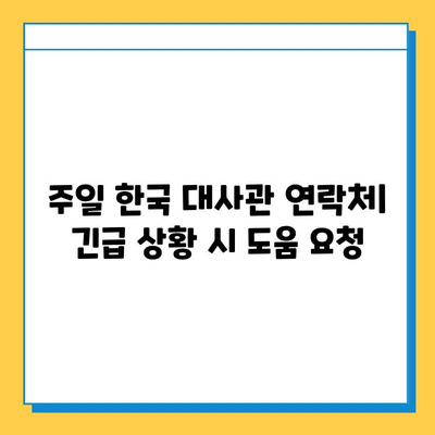 일본 여행 중 여권 분실했을 때, 신고부터 재발급까지 완벽 가이드 | 여권 분실, 재발급 절차, 대사관 연락처, 주의사항